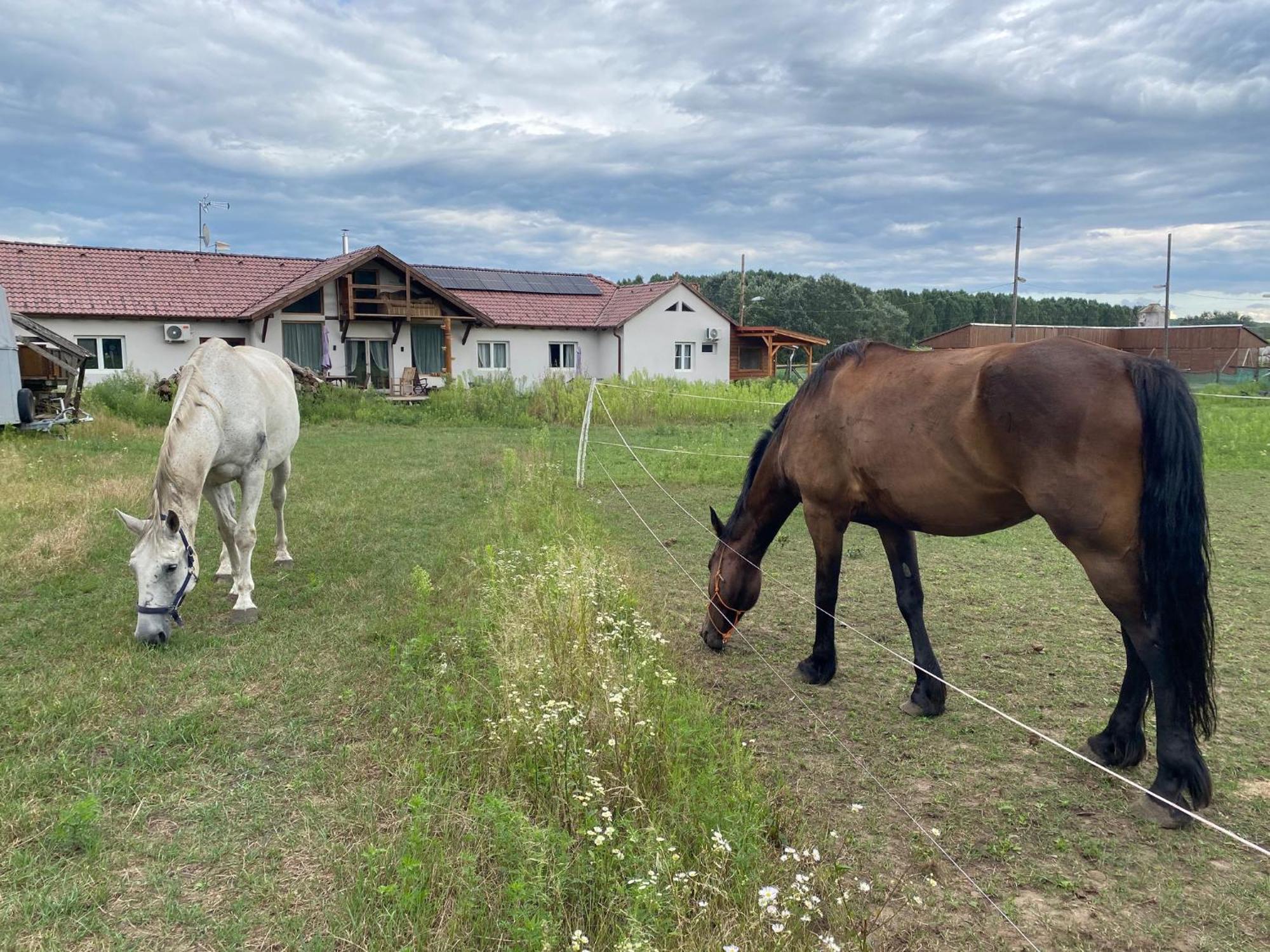 Tuender Pension Модьород Экстерьер фото
